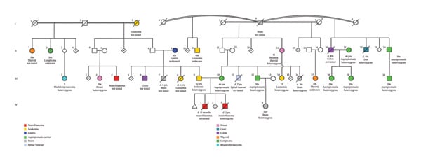 Family pedigree showing germline predisposition to osteosarcoma