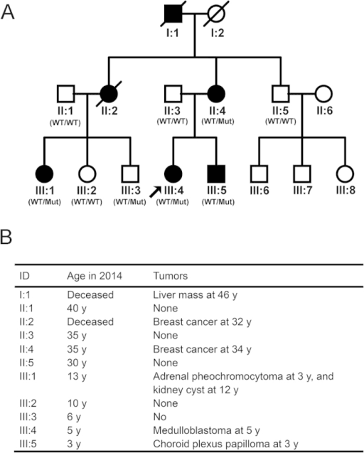 Li-Fraumeni family pedigree with tumour table