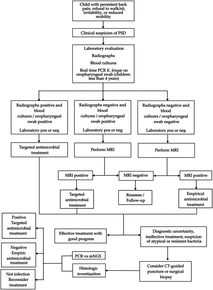 Stepwise diagnostic pathway flowchart for evaluating paediatric spinal infection and discitis