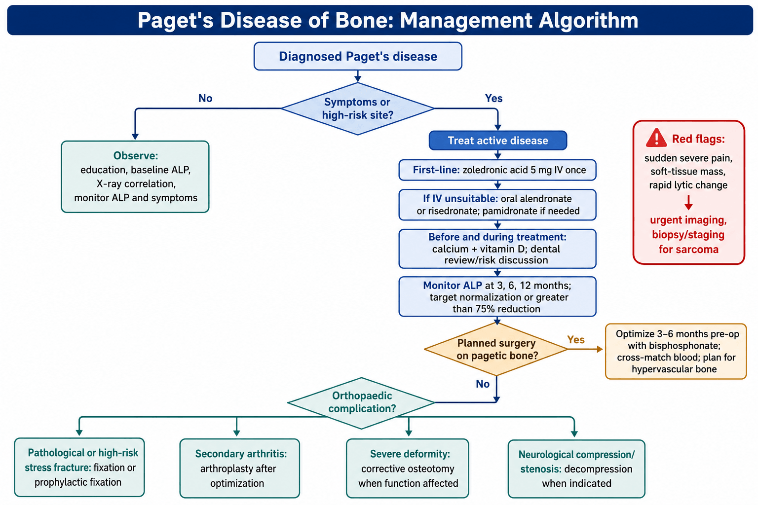 Management flowchart for Paget's disease of bone from diagnosis through medical treatment, perioperative optimisation, orthopaedic complications and sarcoma red flags