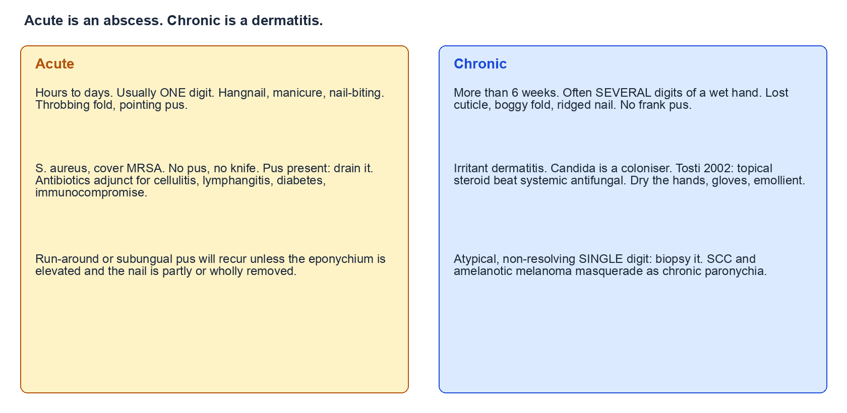 Two-panel comparison of acute bacterial paronychia versus chronic irritant dermatitis