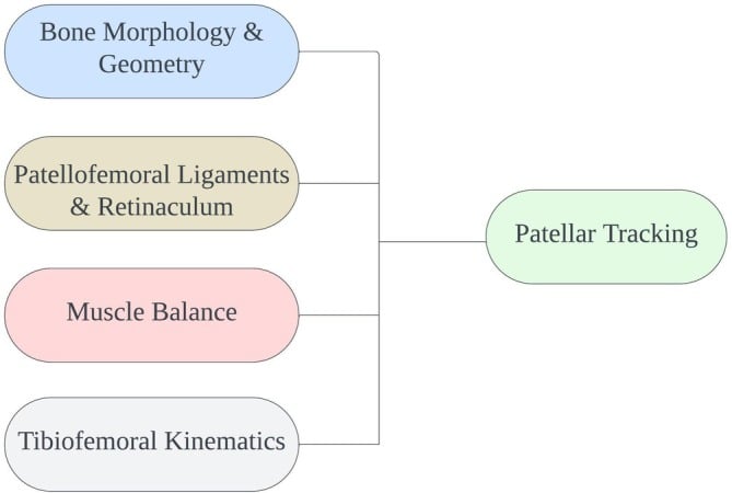 Diagram of the key factors influencing patellar tracking: bone morphology and geometry, patellofemoral ligaments and retinaculum, muscle balance, and tibiofemoral kinematics