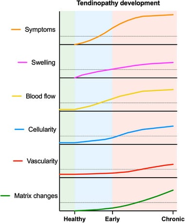 Proposed graph of symptoms, swelling, blood flow, cellularity, vascularity and matrix changes from healthy to chronic tendinopathy.