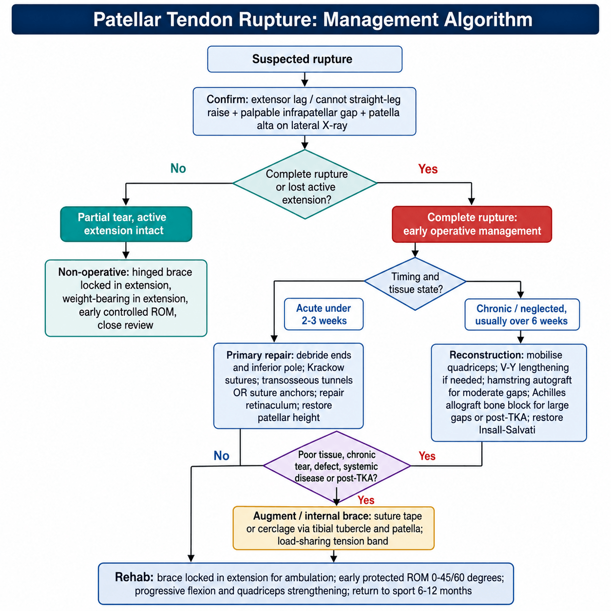 Patellar tendon rupture management algorithm branching by completeness and timing into non-operative bracing, acute primary repair, chronic reconstruction and augmentation.
