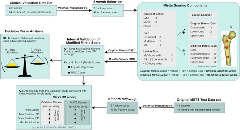 Schematic diagram detailing the Mirels scoring system for pathologic fracture risk prediction