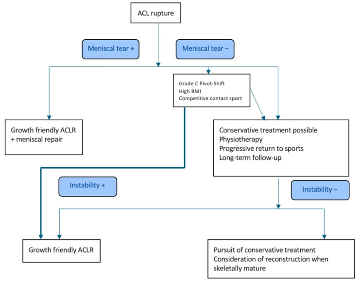 Decision algorithm after paediatric ACL rupture integrating meniscal tear, instability, activity and skeletal maturity