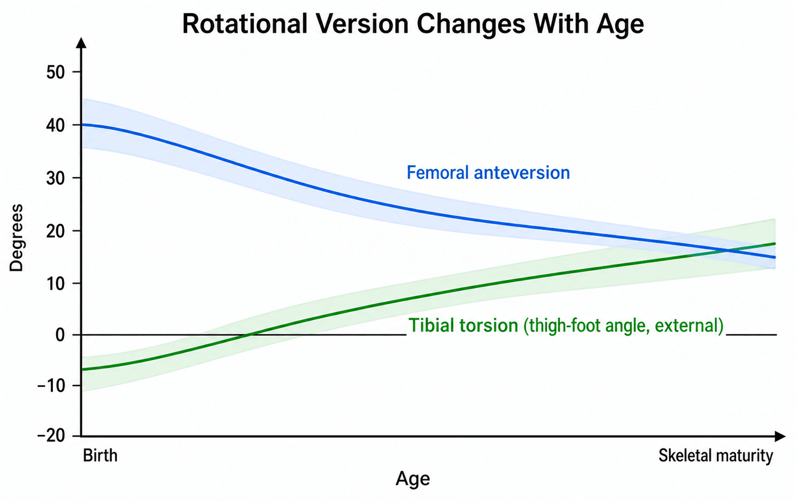 Line graph of rotational version against age showing femoral anteversion falling from about 40 to 15 degrees and tibial torsion rotating externally with growth