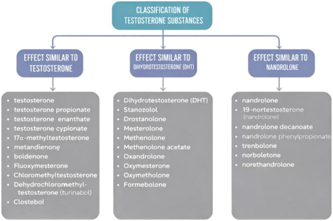 Classification diagram grouping exogenous testosterone and anabolic-androgenic steroid preparations