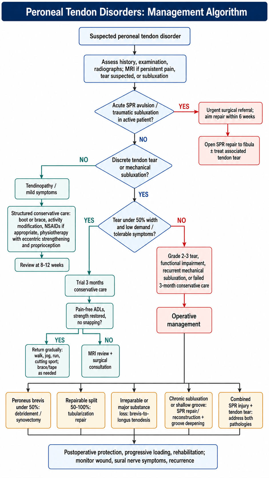 Management algorithm for peroneal tendon disorders from presentation through the acute-subluxation, conservative and operative pathways.
