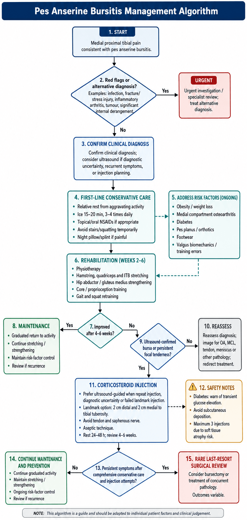 Management algorithm for Pes Anserine Bursitis