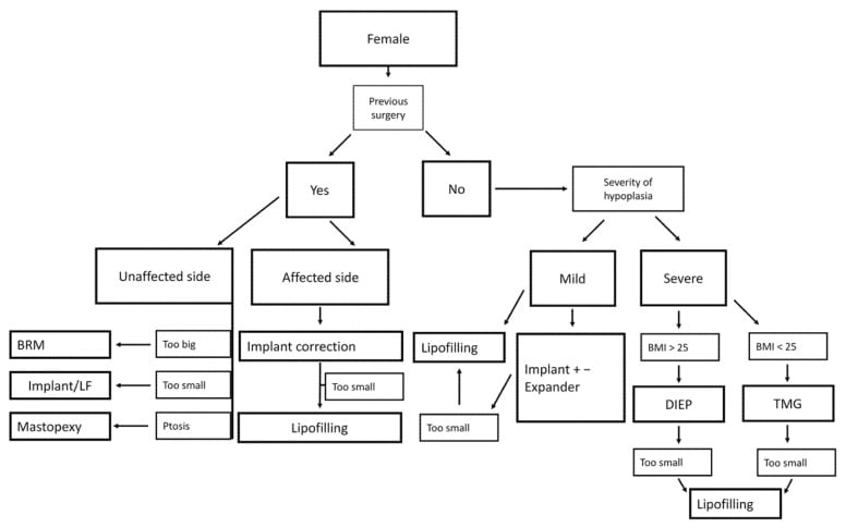 Published reconstruction algorithm for female Poland syndrome incorporating previous surgery, deformity severity, body mass index and breast asymmetry.