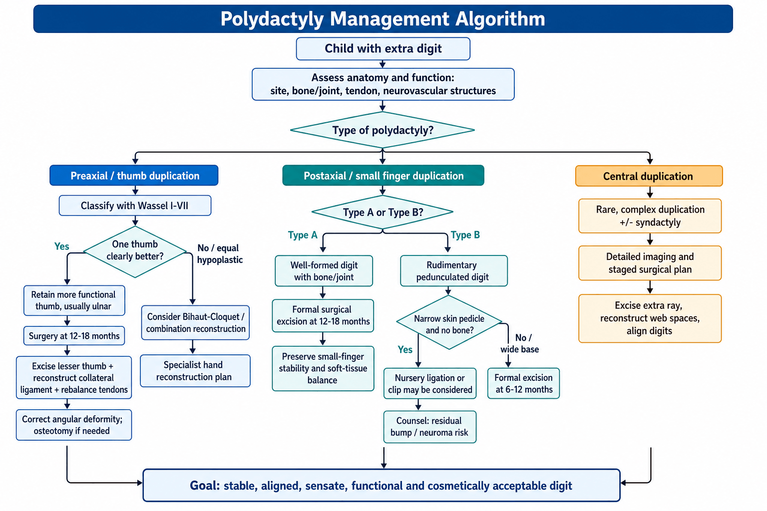 polydactyly management algorithm