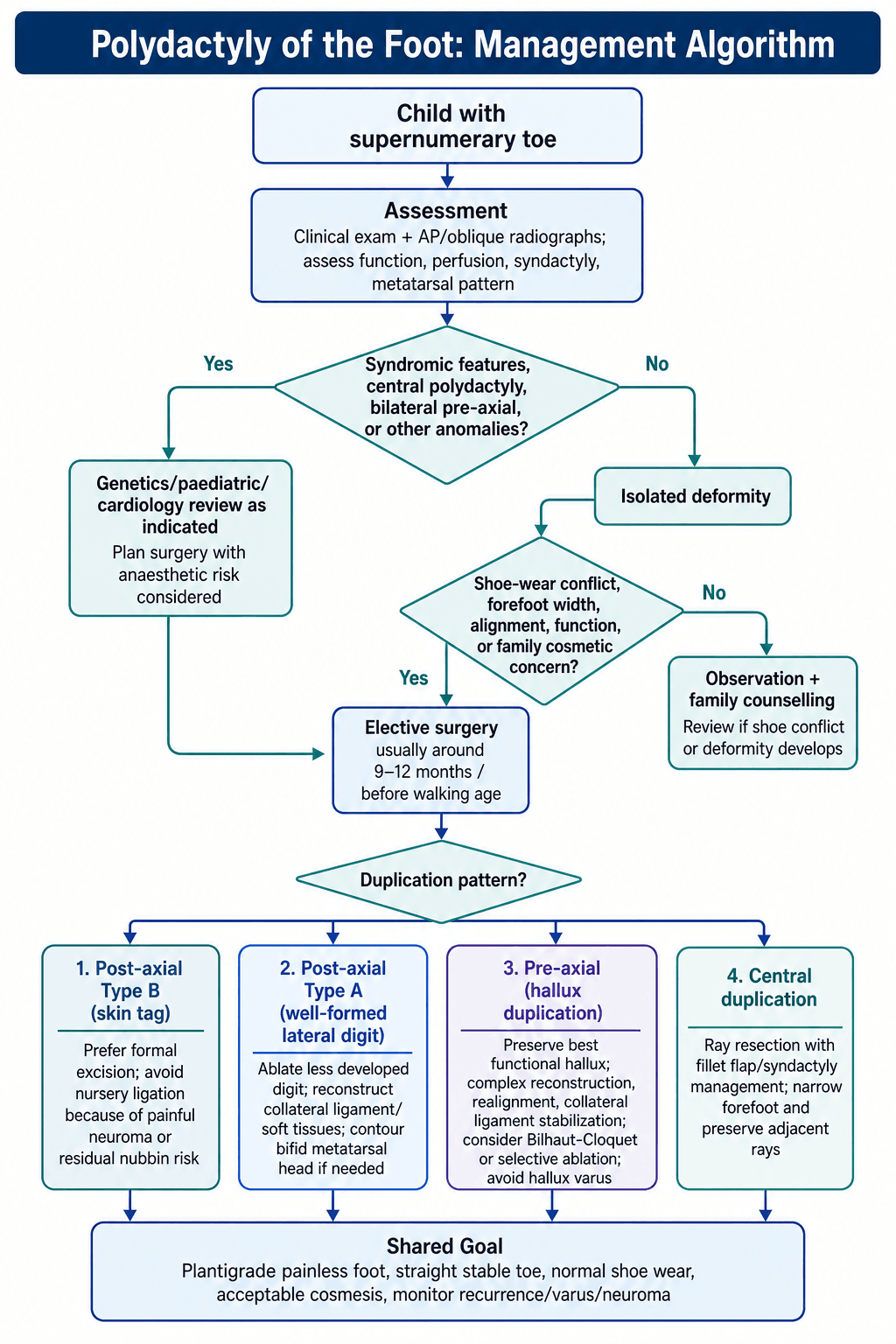 Management algorithm for polydactyly of the foot from assessment to reconstruction