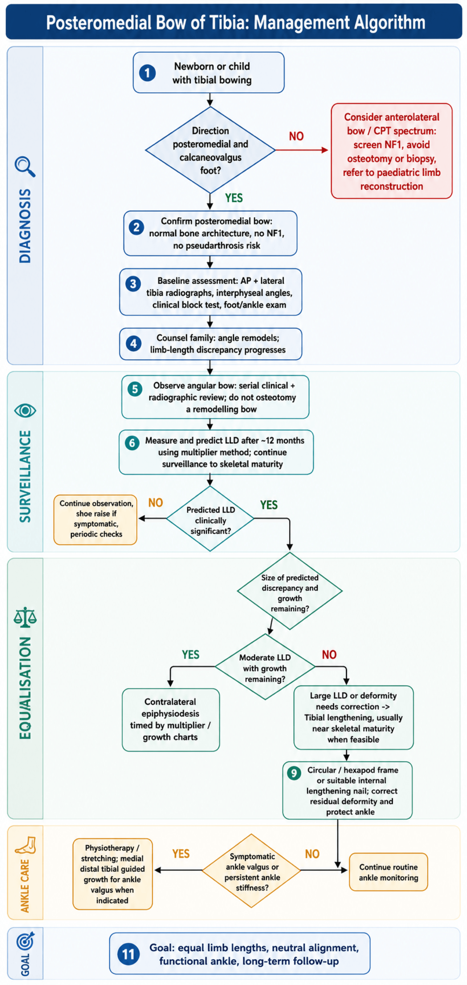 posteromedial bow tibia management algorithm