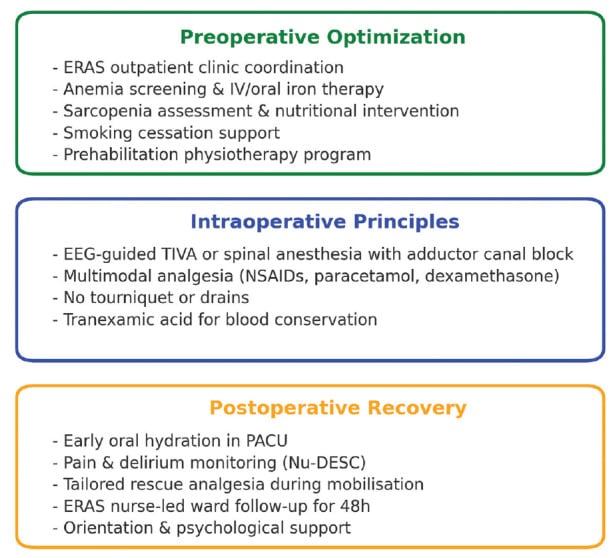 ERAS protocol components for arthroplasty covering preoperative assessment, intra-operative EEG-guided anaesthesia and postoperative delirium screening