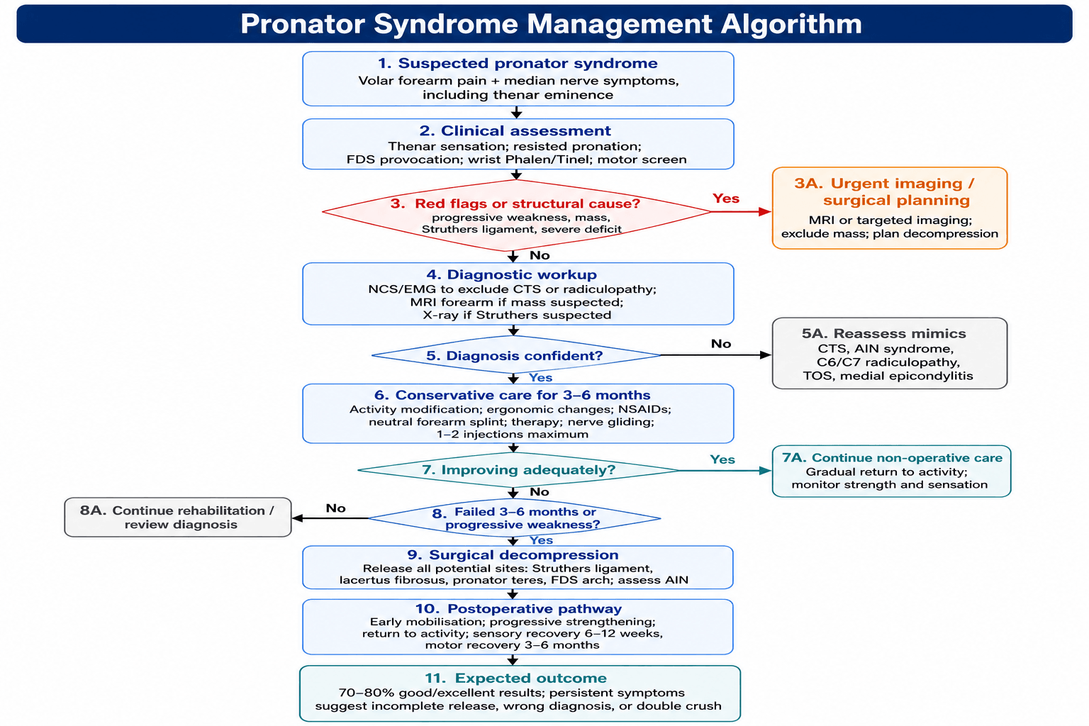 pronator syndrome management algorithm