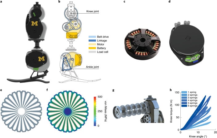Open-source bionic knee and ankle with labelled transmission, motor, battery, load cell and spring components
