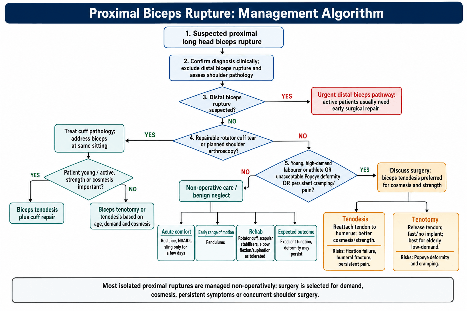 Proximal biceps rupture management algorithm