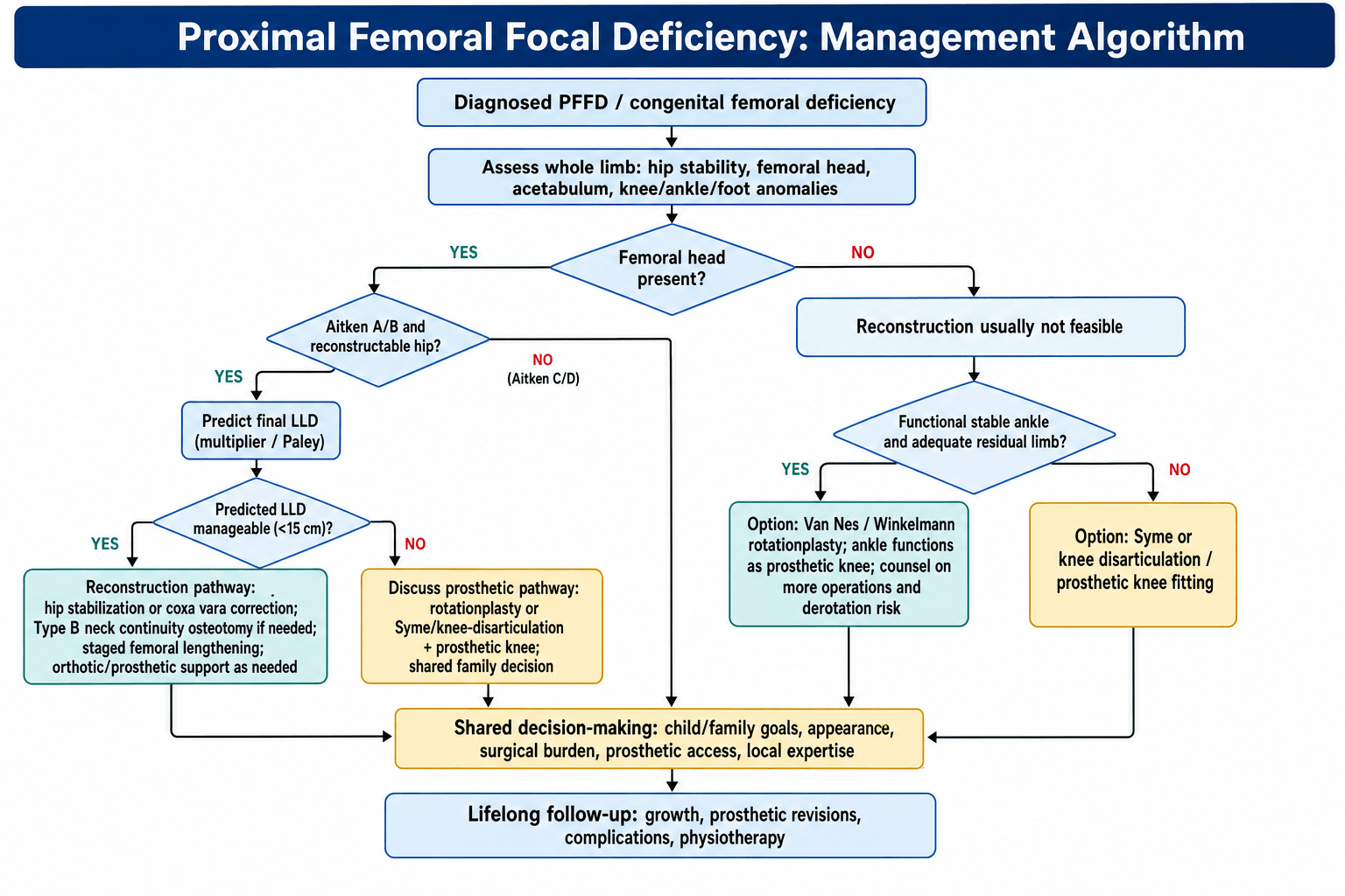 Flowchart of PFFD management branching on whether the femoral head is present, hip reconstructability, predicted limb-length discrepancy and ankle function.