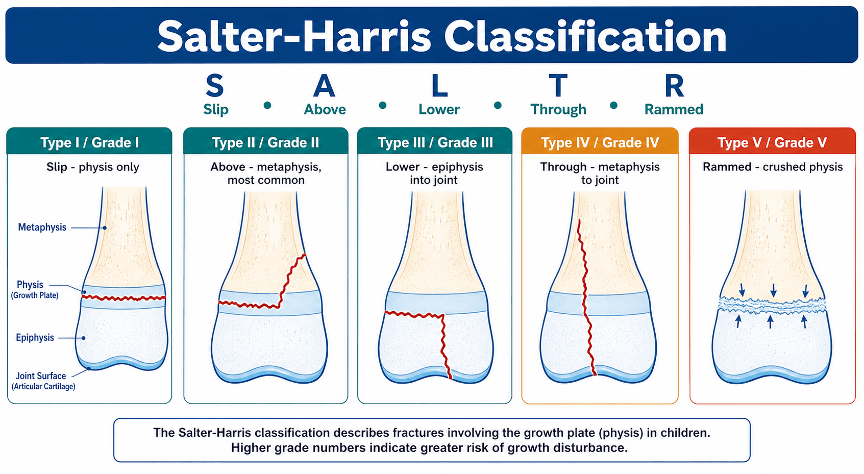 Salter-Harris classification