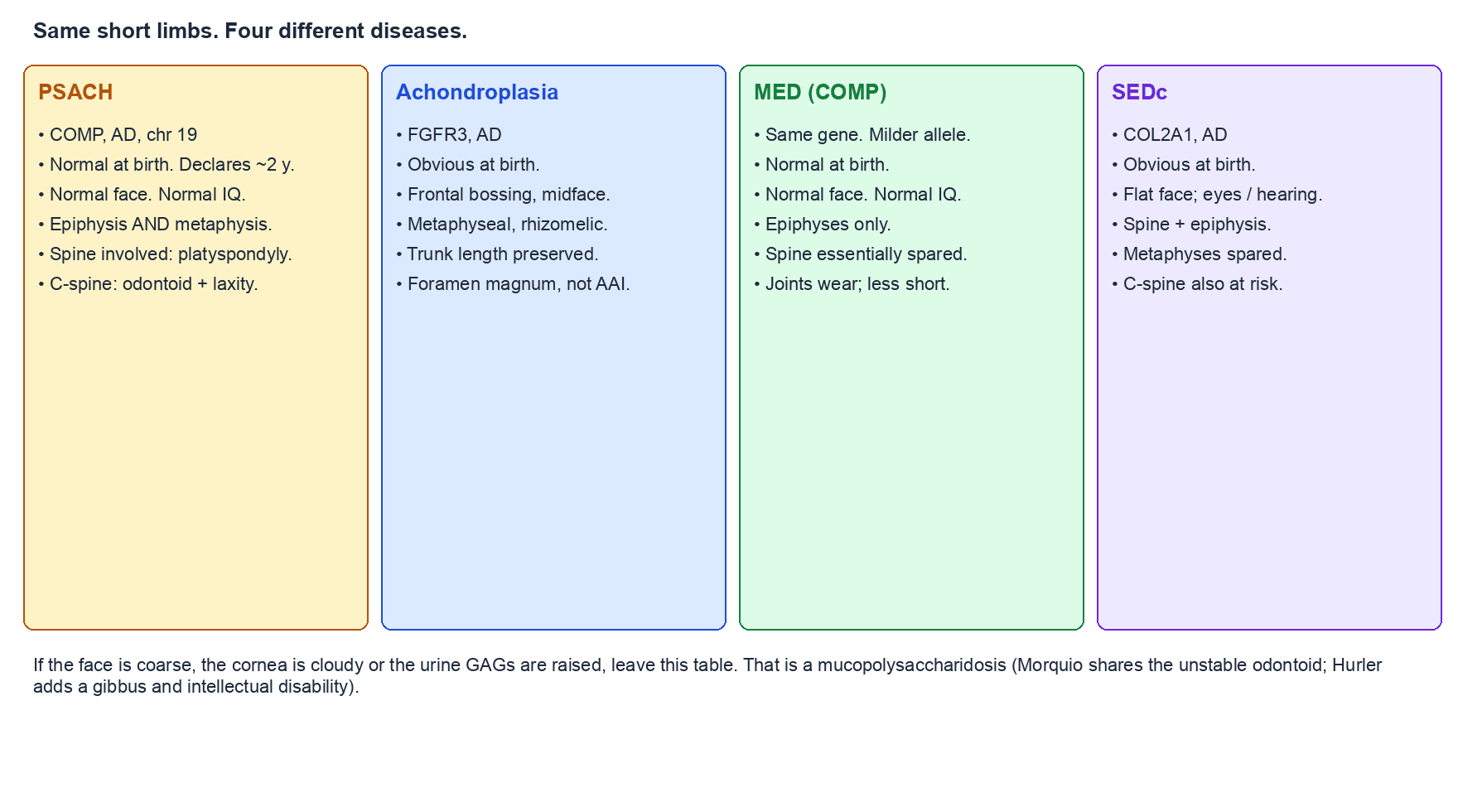 Four-column comparison of pseudoachondroplasia, achondroplasia, COMP-MED and spondyloepiphyseal dysplasia congenita
