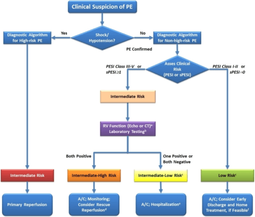 Risk-adjusted pulmonary embolism management flowchart using haemodynamics, PESI and right ventricular assessment