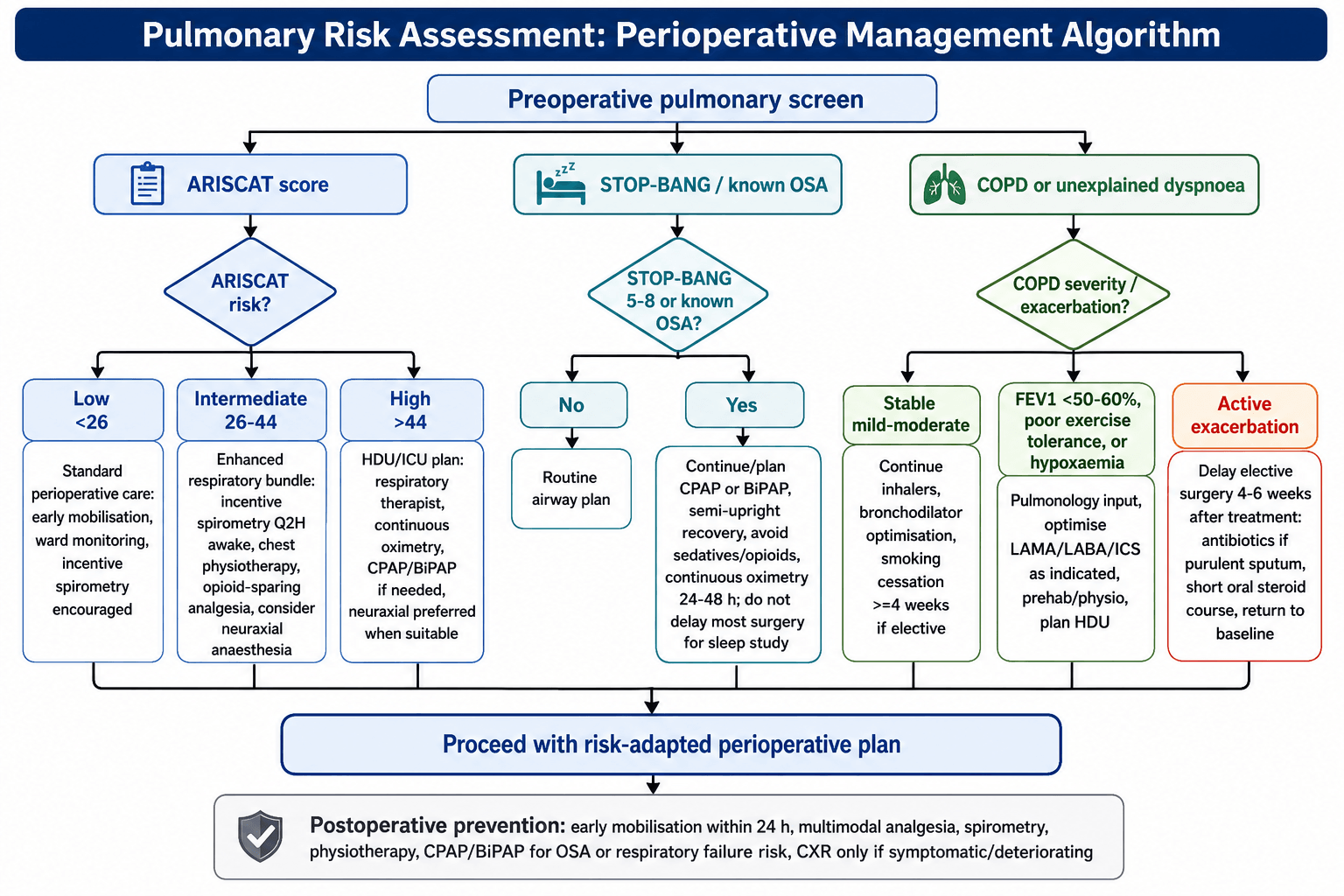 Flowchart: perioperative pulmonary risk assessment and management.