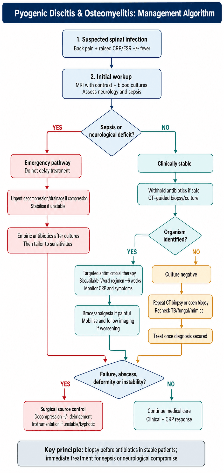 Pyogenic discitis/osteomyelitis management algorithm emphasising biopsy before antibiotics in stable patients