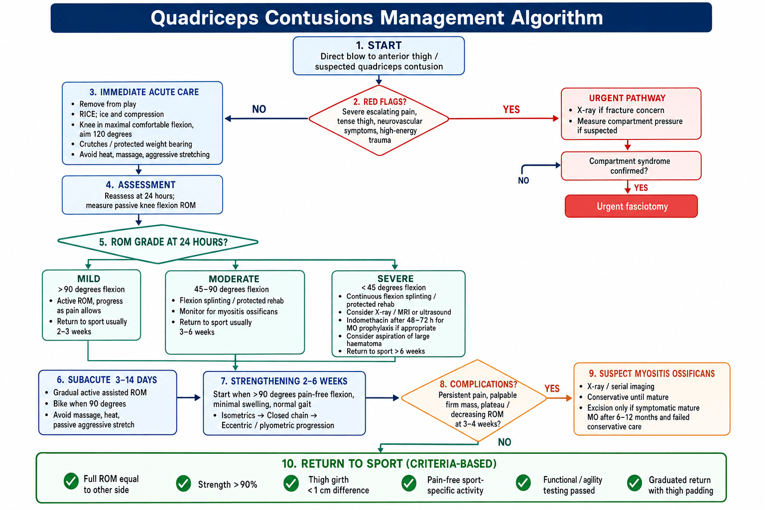 quadriceps contusions management algorithm