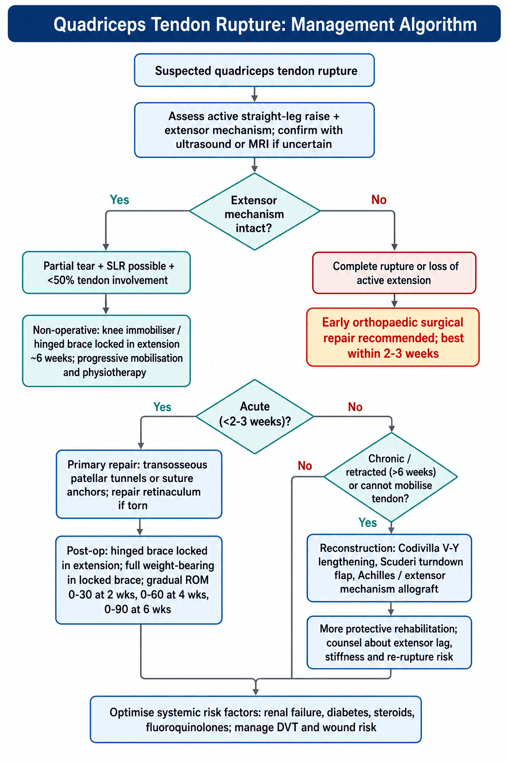 Management algorithm for quadriceps tendon rupture from diagnosis through partial vs complete and acute vs chronic pathways.