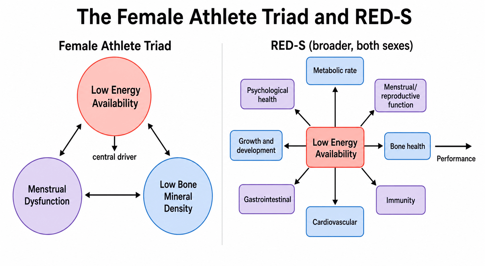 Two-panel diagram: the Female Athlete Triad as three interconnected circles (low energy availability, menstrual dysfunction, low bone mineral density) and RED-S as low energy availability radiating out to affect metabolic rate, reproduction, bone, immunity, cardiovascular, GI, growth and psychological health plus performance