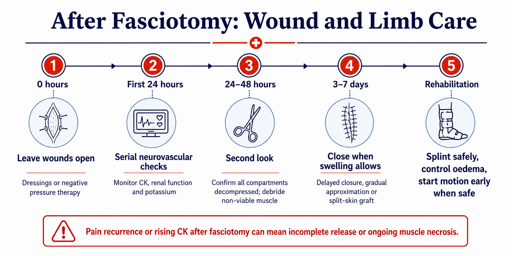 Postoperative care timeline after fasciotomy showing open wounds, serial checks, second look, delayed closure and rehabilitation.