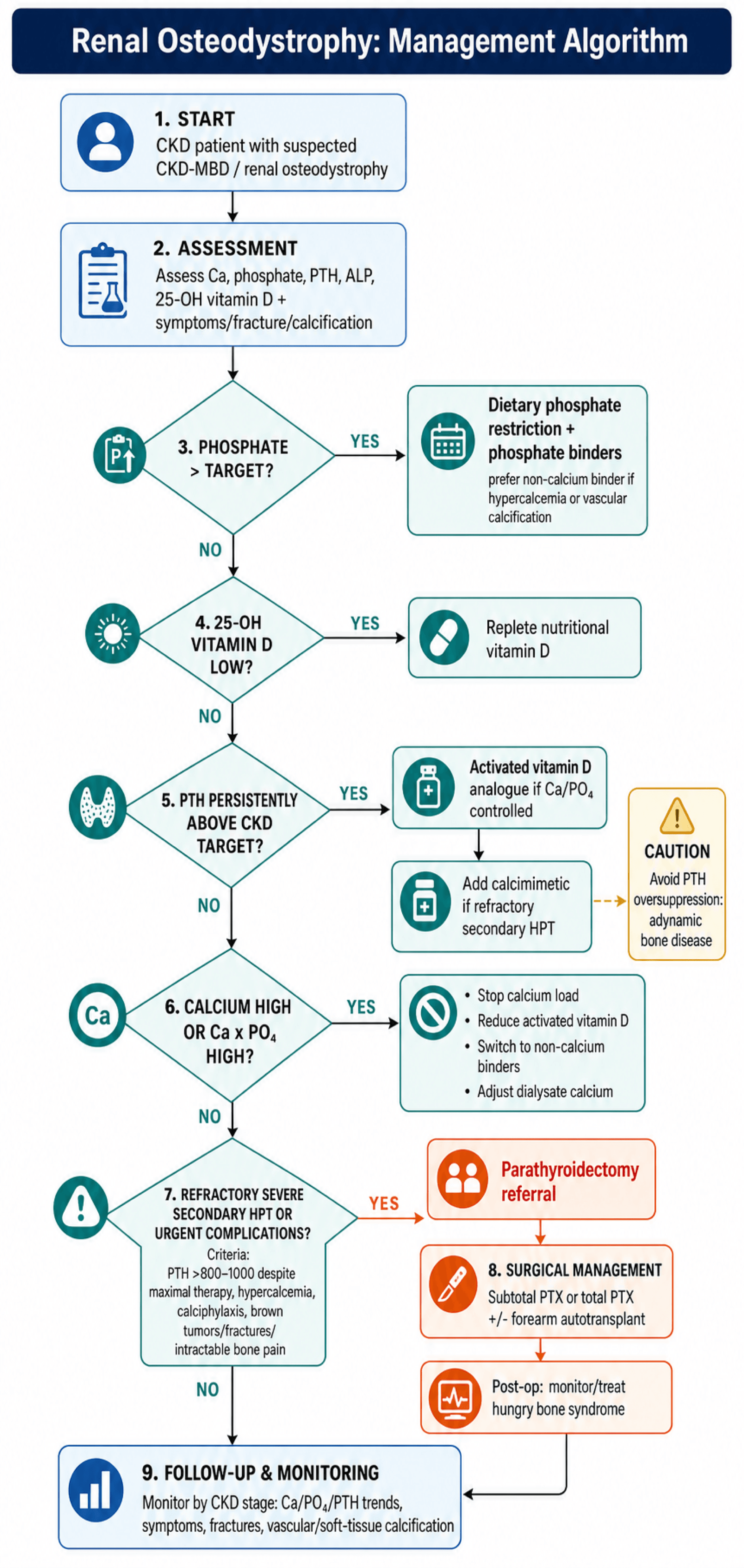 Nine-step management algorithm for renal osteodystrophy branching by phosphate, vitamin D, PTH and calcium control into medical therapy and parathyroidectomy.