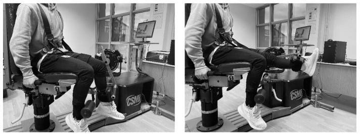 Seated isokinetic knee dynamometry with straps across the trunk and thigh, shown with the knee flexed and then extended