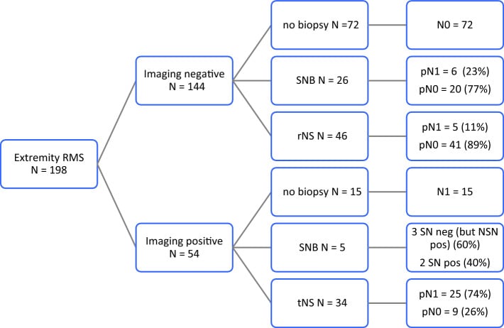 Flow diagram of nodal biopsy outcomes in 198 patients with extremity rhabdomyosarcoma comparing imaging-negative and imaging-positive groups against sentinel node and random or targeted sampling