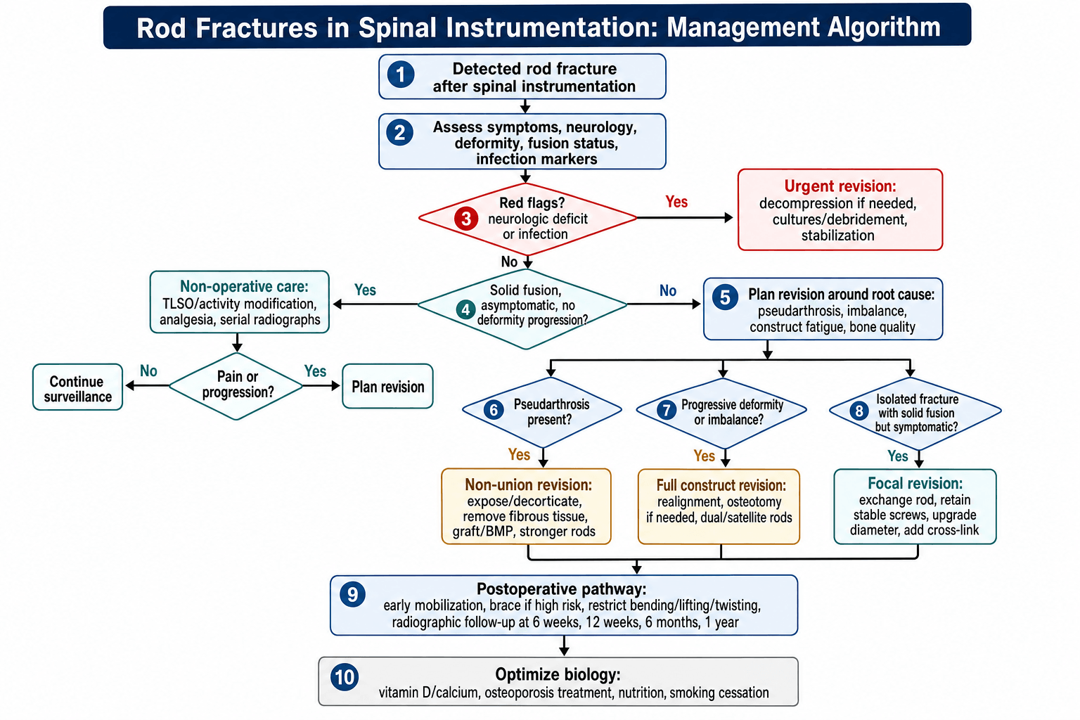 Management algorithm for rod fractures: red-flag screening, solid-fusion observation versus root-cause revision planning by pseudarthrosis, deformity or isolated fracture.