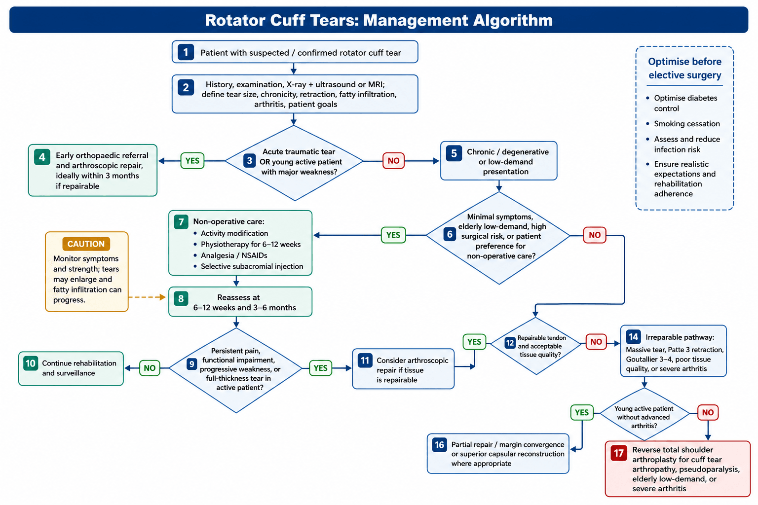 Rotator cuff tear management algorithm