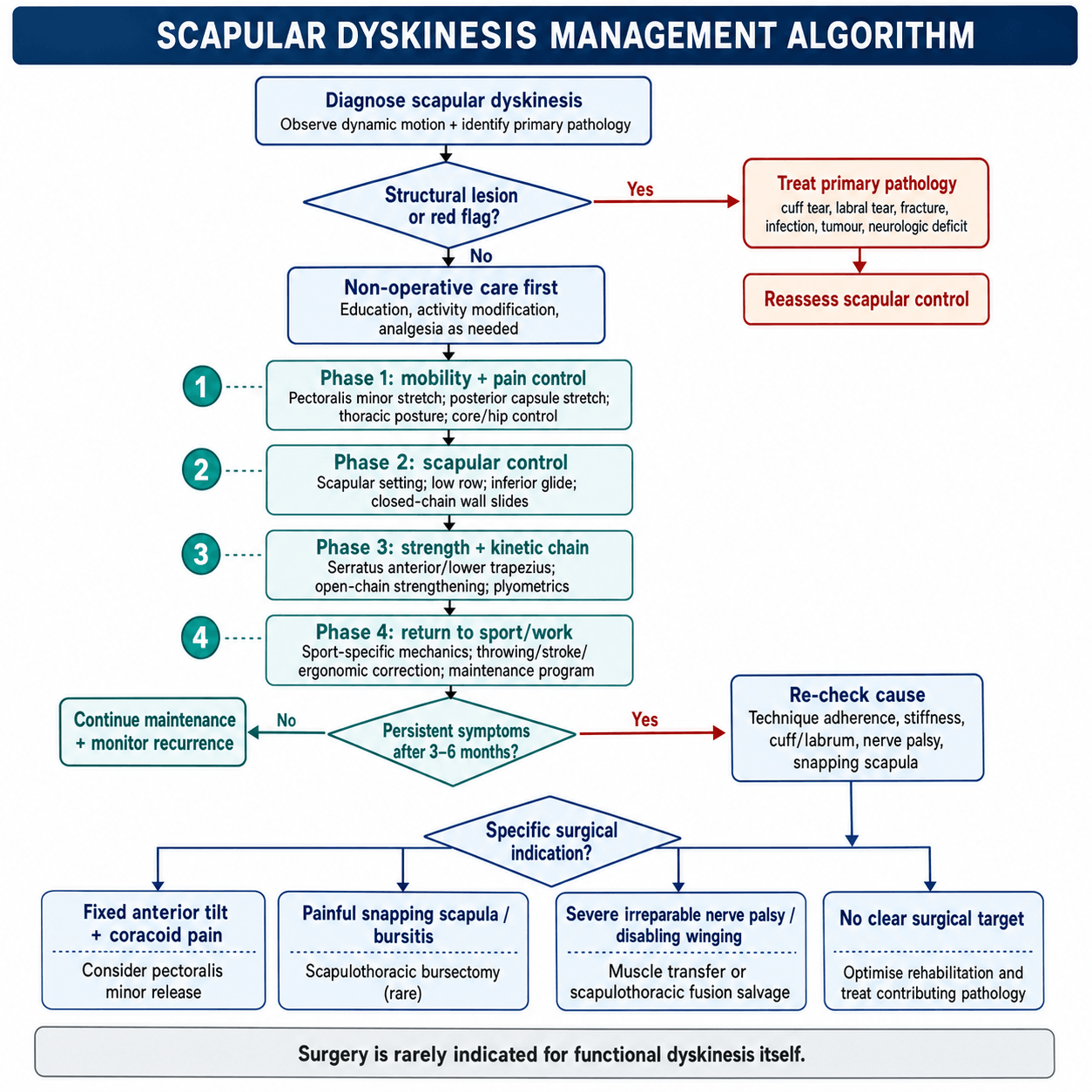 Scapular dyskinesis management algorithm: red-flag triage, phased kinetic-chain rehabilitation, and the rare surgical indications