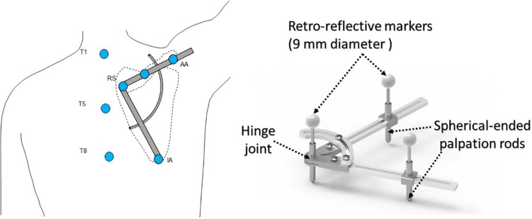 Scapular locator with hinge joint, spherical-ended palpation rods and retro-reflective markers, and a schematic of its placement on the scapula with thoracic markers