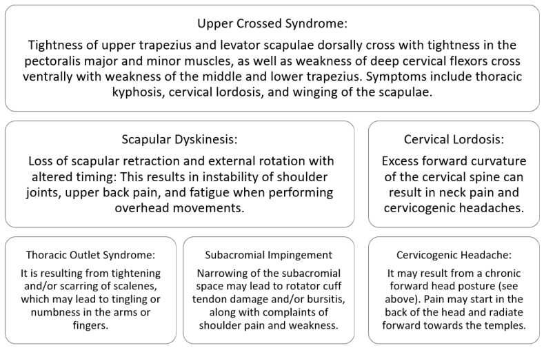 Upper crossed syndrome and scapular dyskinesis conceptual framework