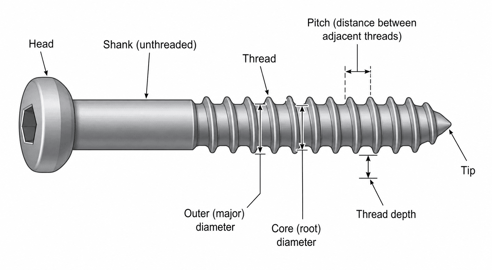 Labelled diagram of a bone screw showing head, shank, thread, pitch, outer (major) and core (root) diameters, thread depth and tip