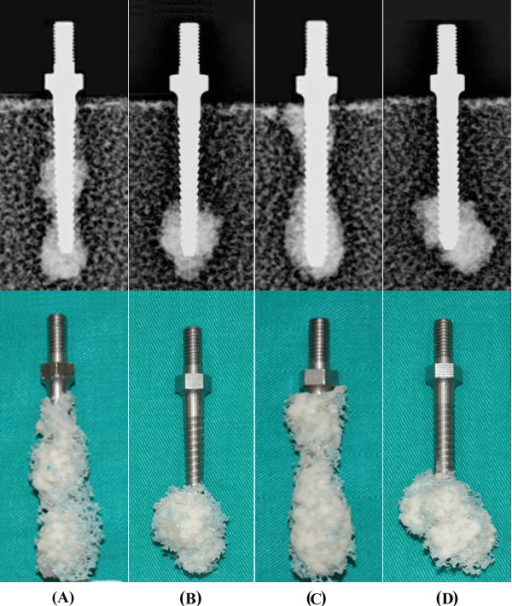 Biomechanical pullout test: radiographs (top) and extracted specimens (bottom) of screws with cement augmentation in a test block, panels A to D