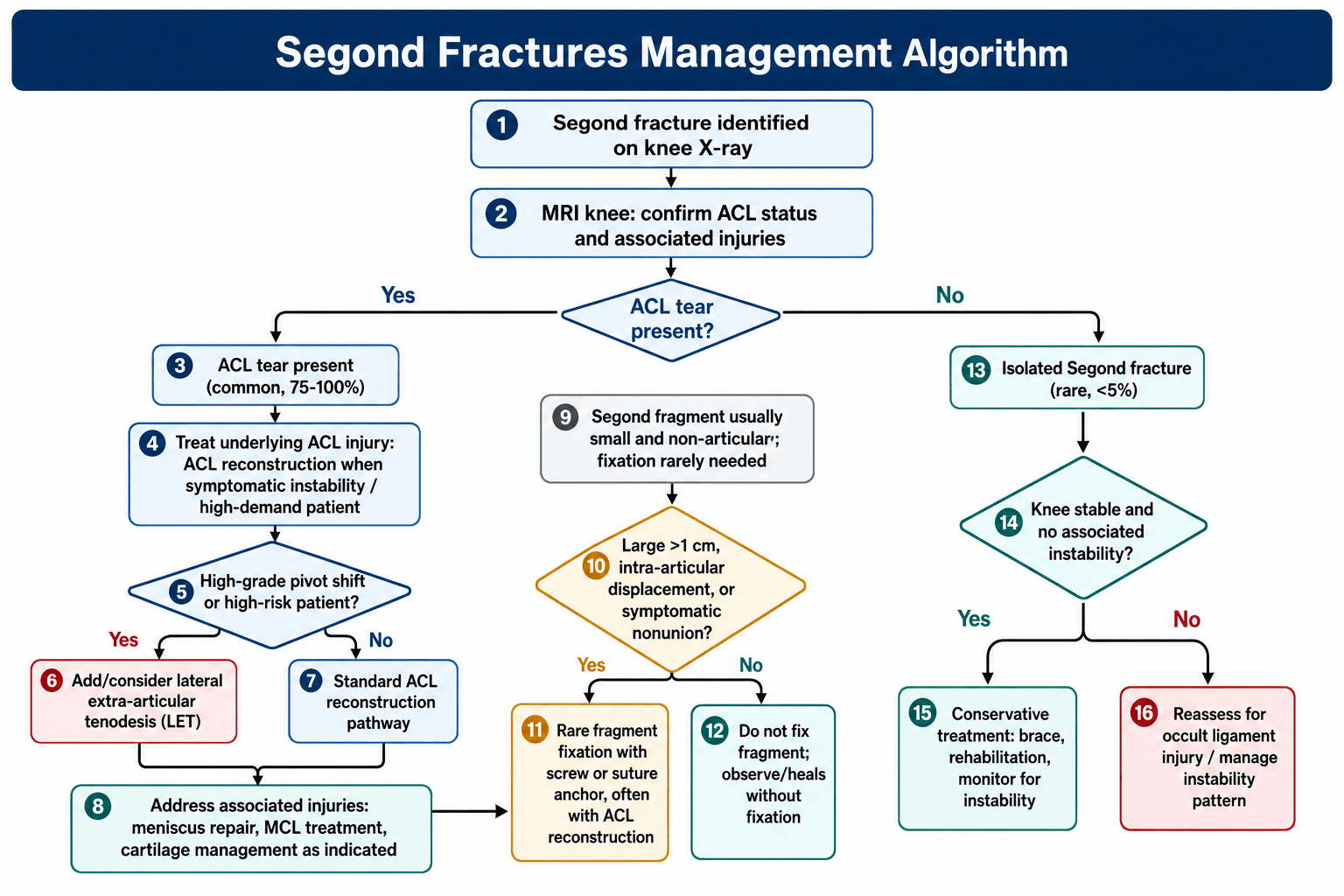 segond fractures management algorithm