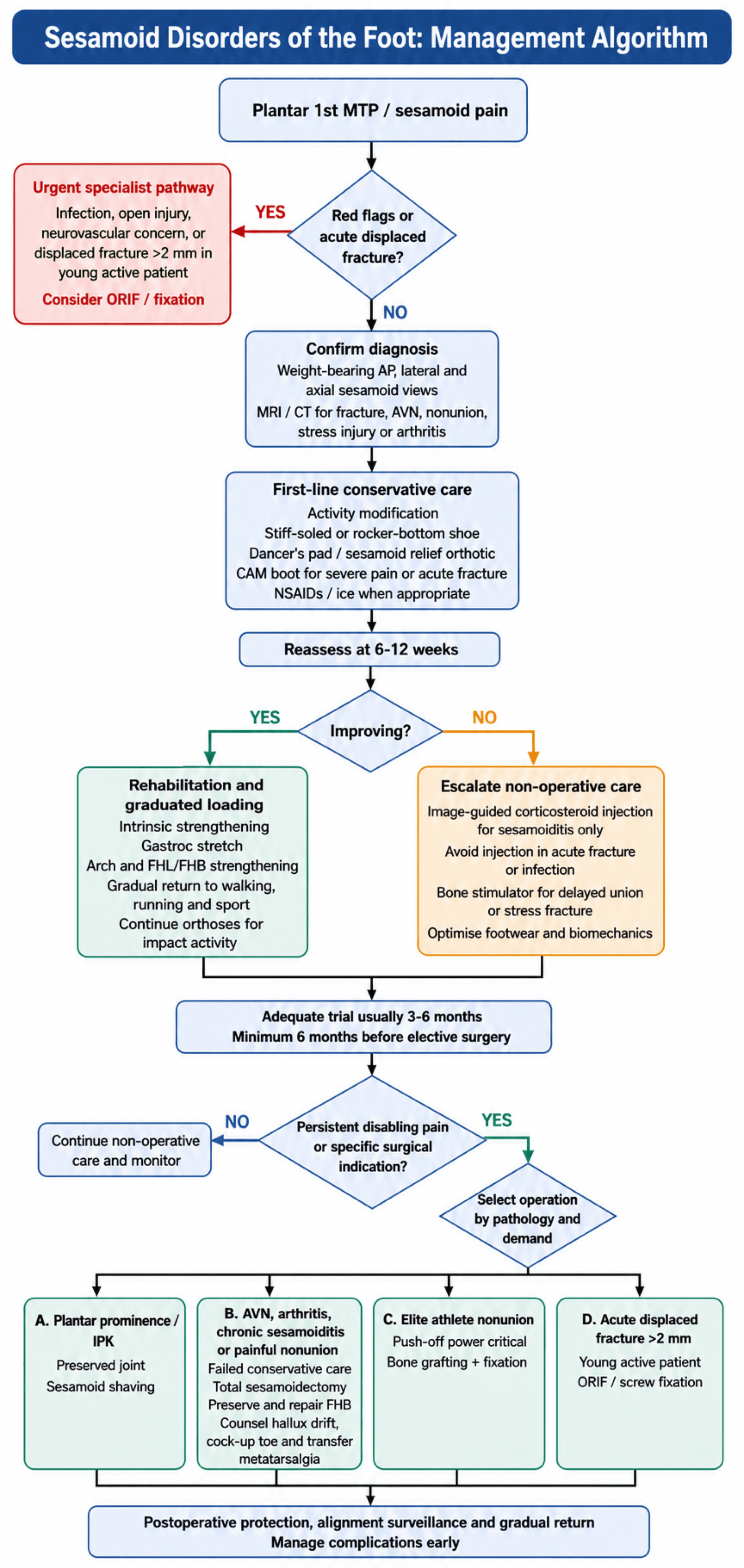 Management algorithm for sesamoid disorders from plantar first-MTP pain through conservative care to sesamoid shaving, sesamoidectomy, bone grafting or ORIF.