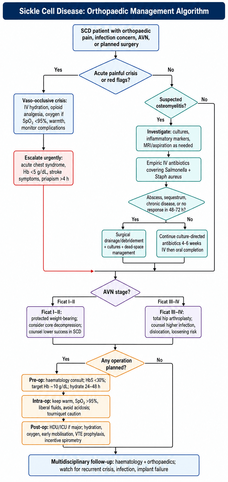 Flowchart of orthopaedic management in sickle cell disease branching by painful crisis, suspected osteomyelitis, AVN stage and planned surgery.