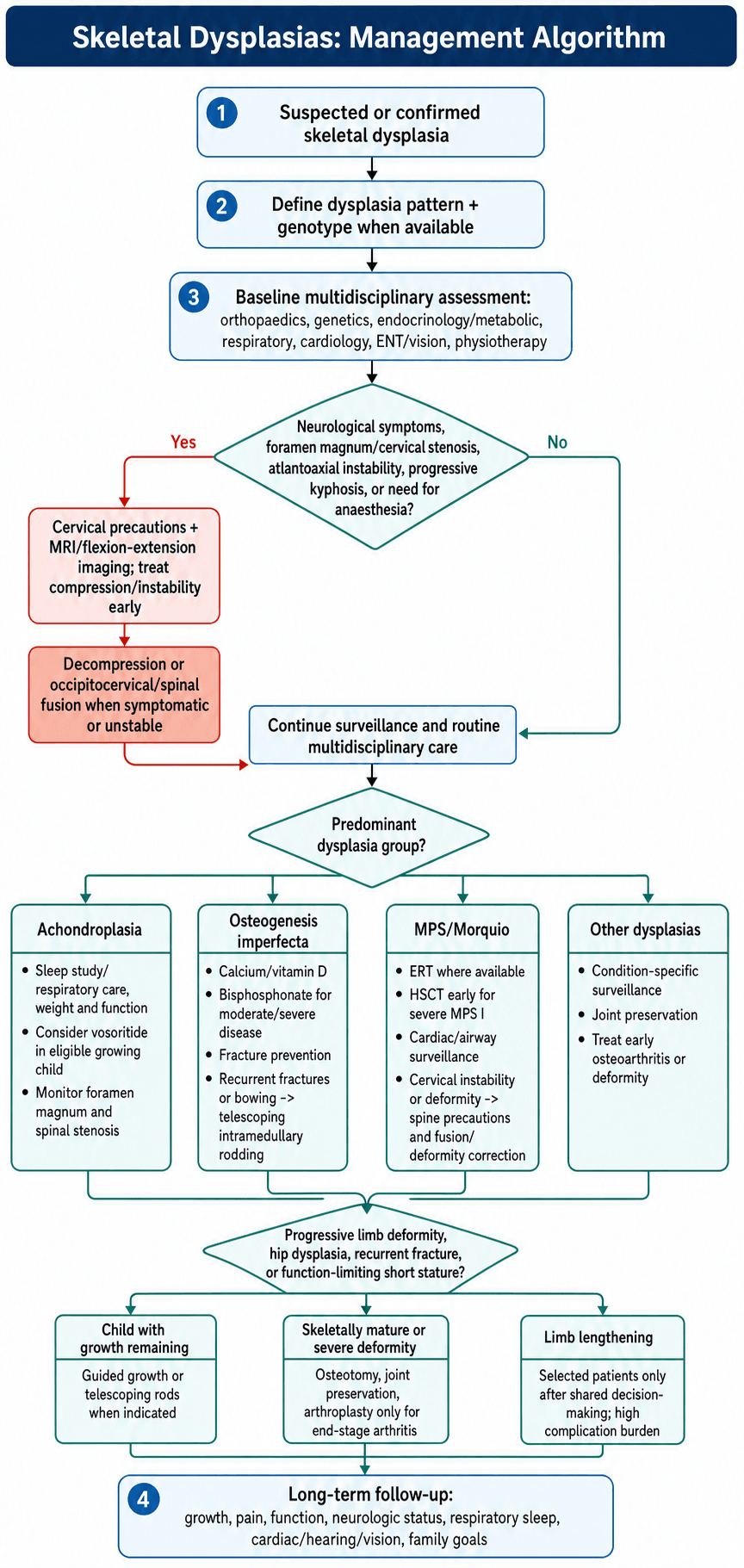 Flowchart: management algorithm for skeletal dysplasias.