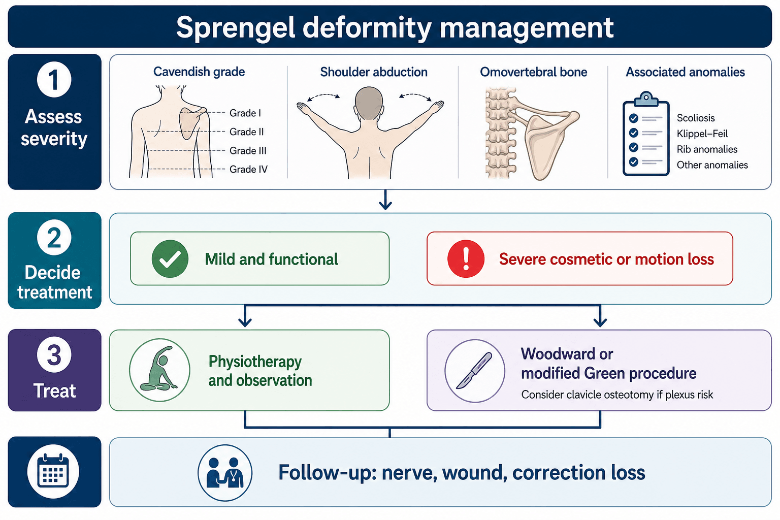 Sprengel deformity management pathway showing severity assessment, treatment decision, non-operative care, Woodward or modified Green procedure and follow-up.