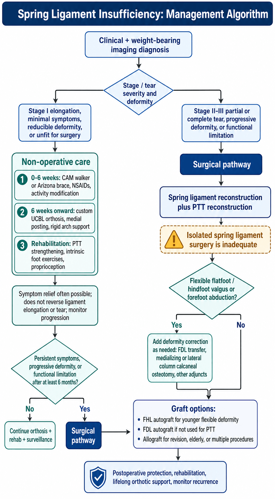 spring ligament insufficiency management algorithm