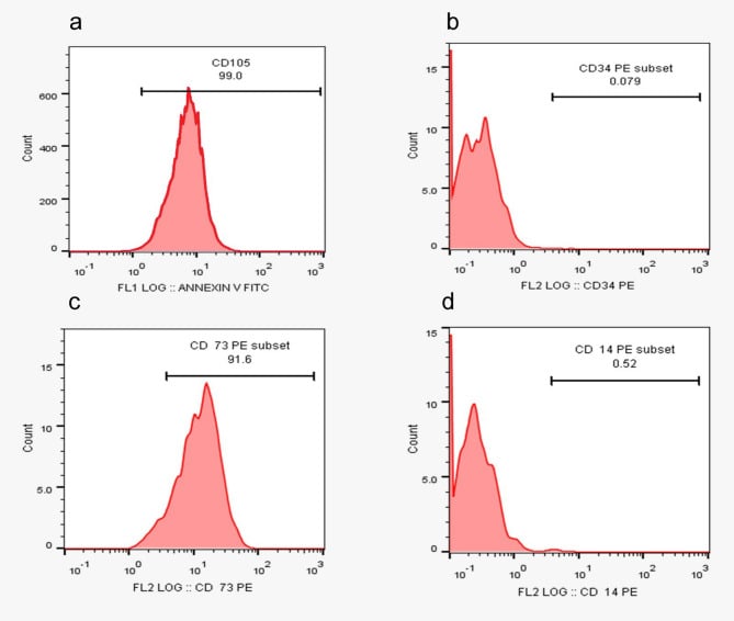 Flow-cytometry histograms showing CD105 and CD73 positive and CD34 and CD14 negative in Wharton jelly MSCs.