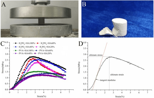 Compression testing of 3D-printed bone scaffolds with stress-strain curves, including one annotated with tangent modulus, ultimate stress and ultimate strain.